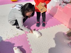 -季高兔窝窝亲子园(上海薰衣草公园店)