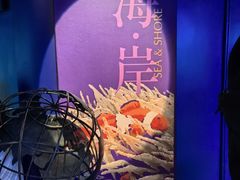 -上海海洋水族馆