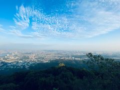 -紫金山山顶公园