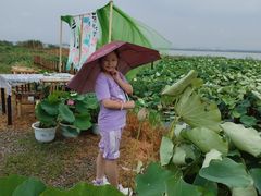-七的湖·晚芳亭·阳澄湖农家菜·大闸蟹(莲花岛店)