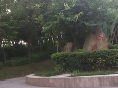 -聚龙山公园