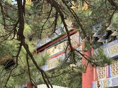 -潭柘寺景区