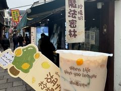 -猫的魔法密林(衣裳街店)