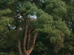 -南华禅寺