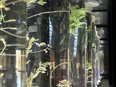 -广东中医药博物馆