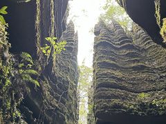 -梭布垭石林景区