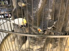 -东四民芳餐厅(世茂工三店)