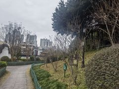 -乌山风景区