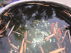 -青瓦房古村落
