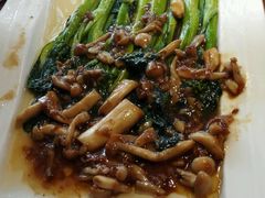 -船歌鱼水饺(淄博万象汇店)