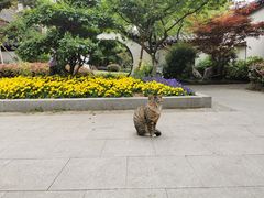 -郑和公园