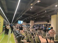 -Liking健身(哈尔滨旗舰店)