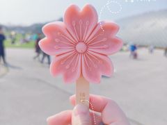 -上海辰山植物园