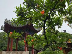 -西安华清御汤酒店