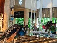 -西双版纳融创皇冠假日度假酒店