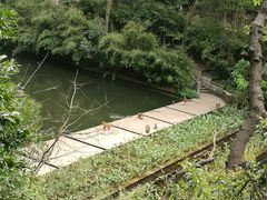 -黔灵山公园-南门售票处