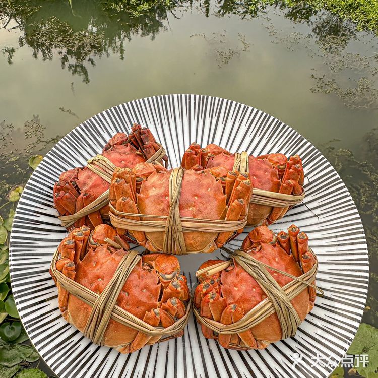 （苏州）秋天第一顿大闸蟹也是被我吃上了！！