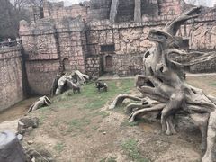 -南昌动物园