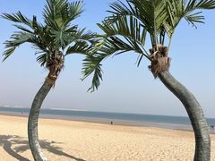 -巧克力渔家.小船海鲜家常菜(万平口店)