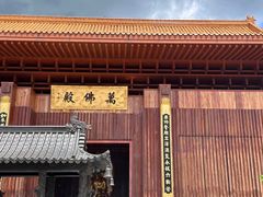 -深圳仙湖植物园
