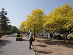 -永定河休闲森林公园