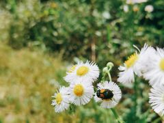 -宁波浙东大竹海景区