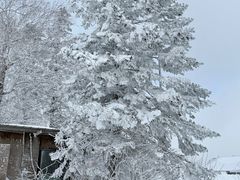 -雪谷