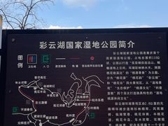 -重庆彩云湖湿地公园