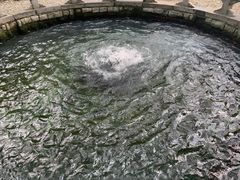 -百脉泉景区