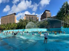 -亚马逊丛林水乐园