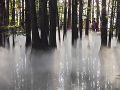 -东湖落雁景区