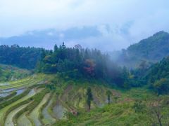 -紫鹊界梯田景区