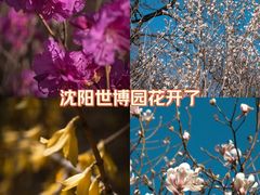 -沈阳植物园