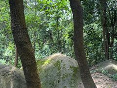 -火炉山森林公园
