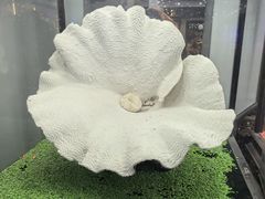 -游龙石文化科普馆
