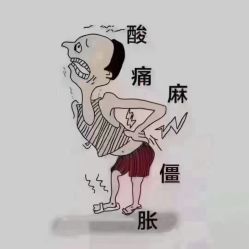-香薇妮丝女子减肥院
