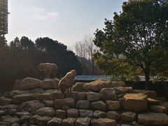 -杭州野生动物世界