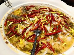 -首秀·四川料理(星耀101店)