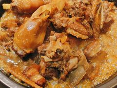 -红果树(江光店)
