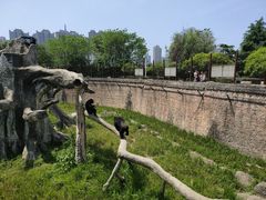 -南昌动物园