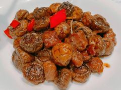 -羲和雅苑•北京烤鸭(陆家嘴中心店)