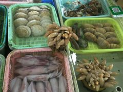 -大湾区中央湿地公园-十九涌