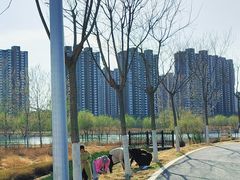 -坝河休闲公园
