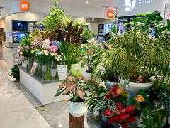 -巴黎春天(浦建店)