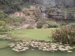 -铁山坪森林公园