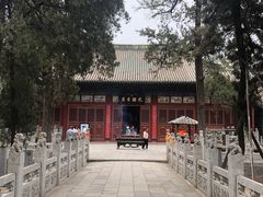 -关林