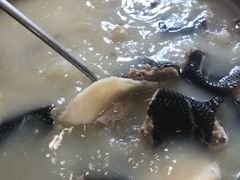 -寻味顺德·南记酒家·传统顺德菜·鱼生(广源路店)