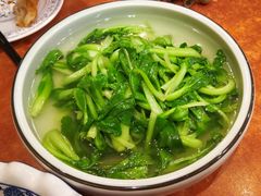 生态鸡毛菜-西新饭店(城中店)