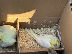 -拾味中点(花园路店)