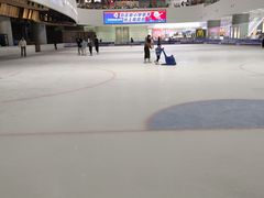 -TheRink大零溜冰场(IFS国金中心店)